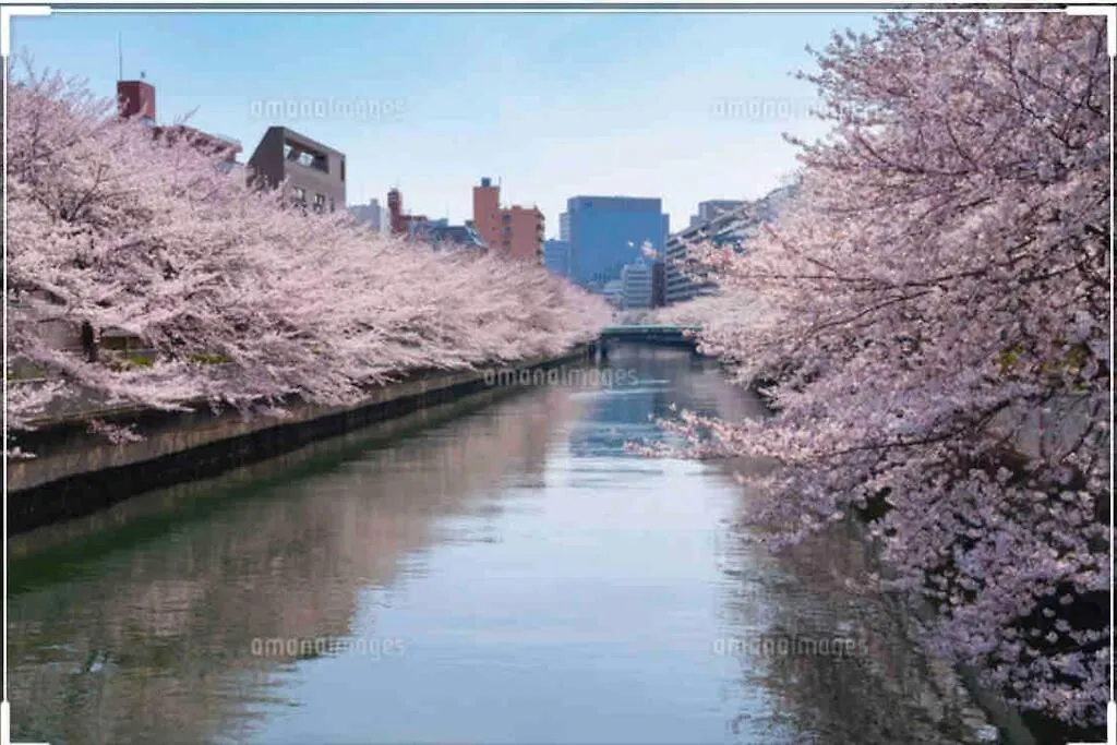 Guest House 華音 Tokyo Apartment